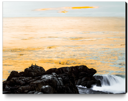 sunset sky with ocean view at Big Sur, highway 1, California, USA Canvas Print by Timmy333