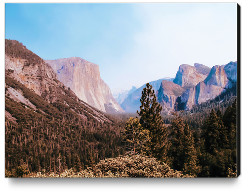 At Yosemite national park USA Canvas Print by Timmy333