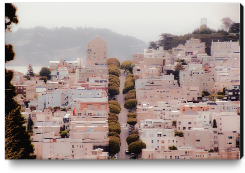 road with green tree and buildings at San Francisco California USA Canvas Print by Timmy333