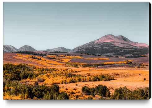 autumn tree with mountains and blue sky background in California USA Canvas Print by Timmy333