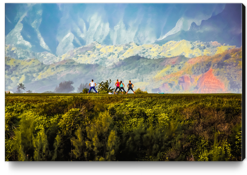 green tropical mountain view at Kauai, Hawaii, USA Canvas Print by Timmy333