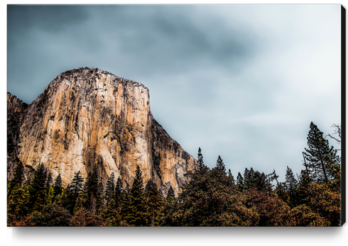 Mountains and pine tree with blue cloudy sky at Yosemite national park, California, USA Canvas Print by Timmy333