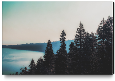 pine tree and lake at Emerald Bay Lake Tahoe California USA Canvas Print by Timmy333