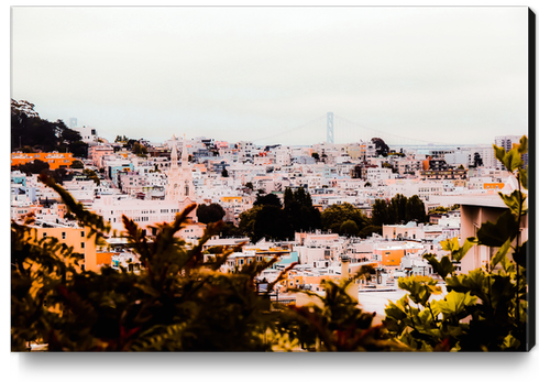 cityscape at San Francisco, California, USA Canvas Print by Timmy333