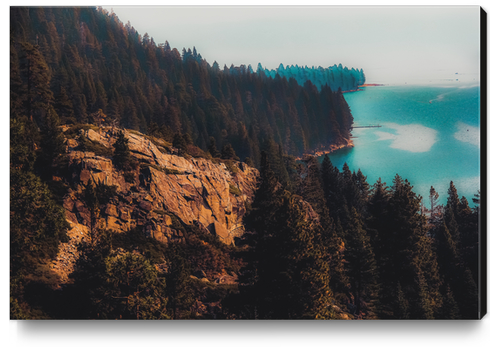 Lake and pine tree at Emerald Bay Lake Tahoe California USA Canvas Print by Timmy333