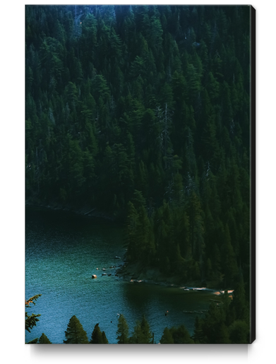 green pine tree and blue water at Emerald Bay Lake Tahoe California USA Canvas Print by Timmy333