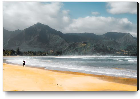 jogging at the beach with green mountain scenic Kauai Hawaii USA Canvas Print by Timmy333