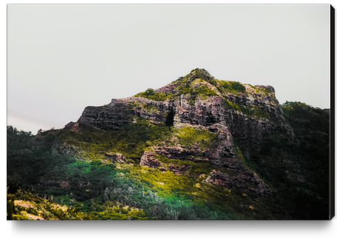 green tropical mountain view at Kauai, Hawaii, USA Canvas Print by Timmy333