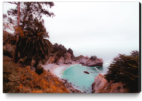 waterfall with beach view at Mcway Falls, Big Sur, Highway 1, California, USA Canvas Print by Timmy333