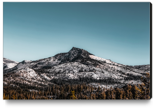 isolated mountain at Yosemite national park California USA Canvas Print by Timmy333