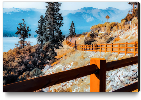 walkway with pine tree and mountains view at Lake Tahoe, Nevada, USA Canvas Print by Timmy333