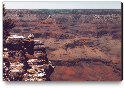 mountains desert scenery at Grand Canyon national park USA Canvas Print by Timmy333