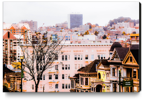 City view at Alamo Square, San Francisco, California, USA Canvas Print by Timmy333