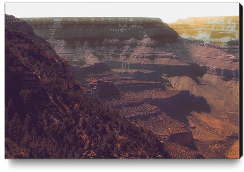 Desert scenery at Grand Canyon national park USA Canvas Print by Timmy333