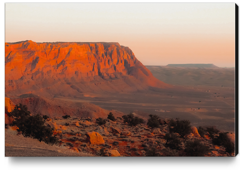 Summer desert with mountain view in Utah USA Canvas Print by Timmy333