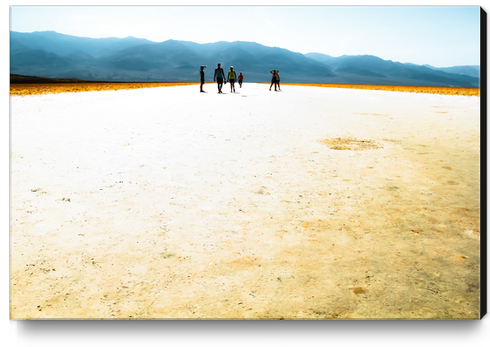 summer desert with mountains background at Death Valley national park, California, USA Canvas Print by Timmy333