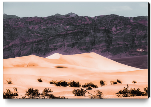 sand desert with mountain background at Death Valley national park California USA Canvas Print by Timmy333