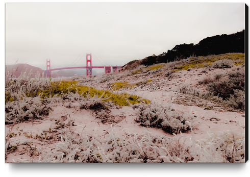 At Golden Gate bridge San Francisco California USA Canvas Print by Timmy333