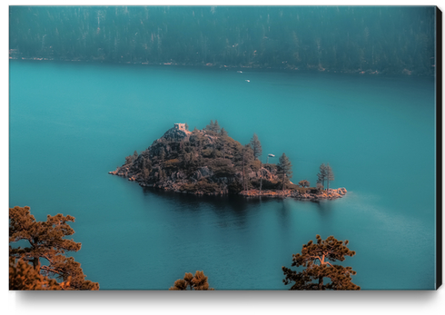 Island and pine tree at Emerald Bay Lake Tahoe California USA Canvas Print by Timmy333