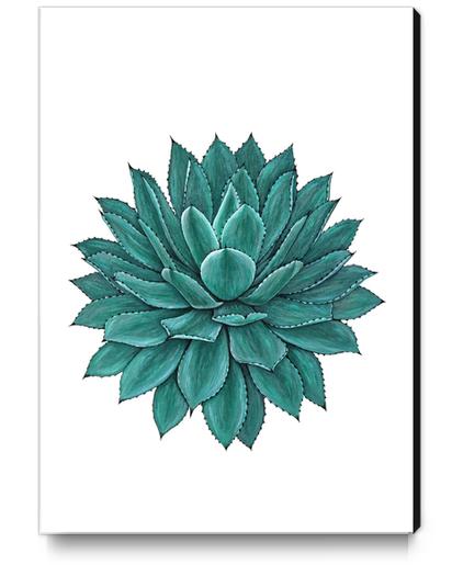 Agave Canvas Print by Nika_Akin