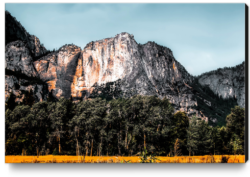 mountains with pine tree and blue sky at Yosemite national park, California, USA Canvas Print by Timmy333