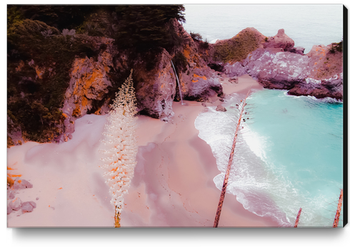 waterfall and beach view at Mcway Falls, Big Sur, Highway 1, California, USA Canvas Print by Timmy333