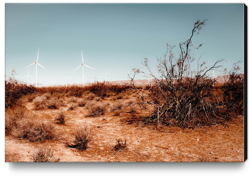 Desert and wind turbine with blue sky at Kern County California USA Canvas Print by Timmy333