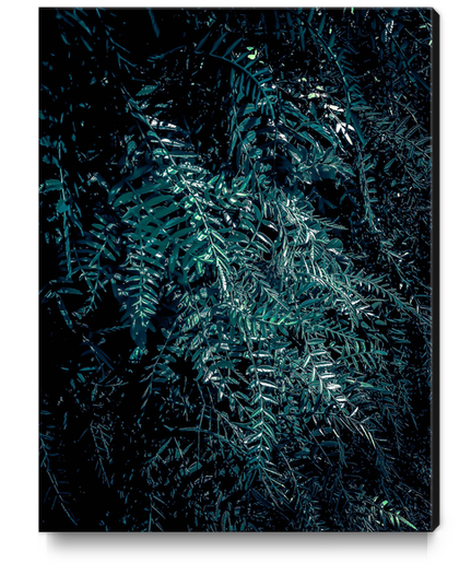 green leaves texture abstract background Canvas Print by Timmy333