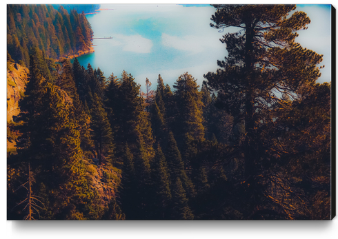 Lake and pine tree at Emerald Bay Lake Tahoe California USA Canvas Print by Timmy333