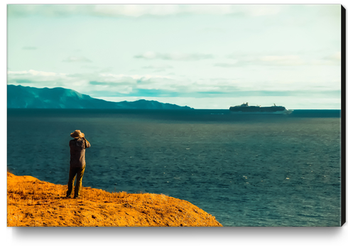 ocean scenic at Rancho Palos Verdes, California, USA Canvas Print by Timmy333