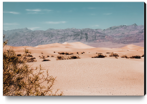 Sandy desert with mountain background at Death Valley national park California USA Canvas Print by Timmy333