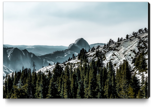 Mountains with pine tree at Yosemite national park, California, USA Canvas Print by Timmy333