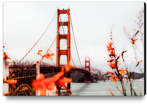 At Golden Gate Bridge, San Francisco, California, USA Canvas Print by Timmy333