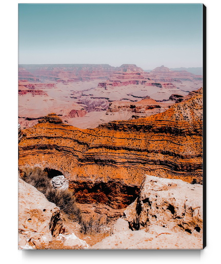 desert layer at Grand Canyon national park, Arizona, USA Canvas Print by Timmy333