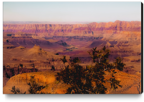Desert in summer at Grand Canyon national park USA Canvas Print by Timmy333