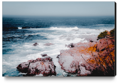 Ocean wave with beautiful scenic at Big Sur, Highway1, California, USA Canvas Print by Timmy333