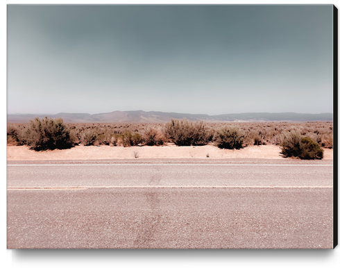 Road in the desert with blue sky in California USA Canvas Print by Timmy333