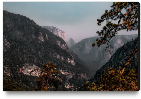 mountain in the forest at Yosemite national park California USA Canvas Print by Timmy333