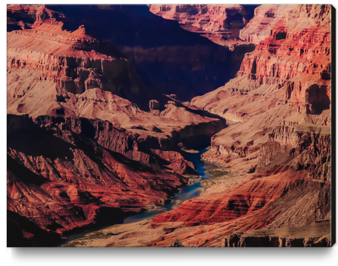 texture of the desert at Grand Canyon national park, Arizona, USA Canvas Print by Timmy333