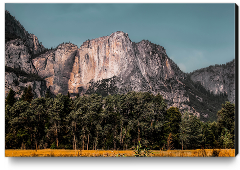 Mountains with blue sky at Yosemite national park California USA Canvas Print by Timmy333