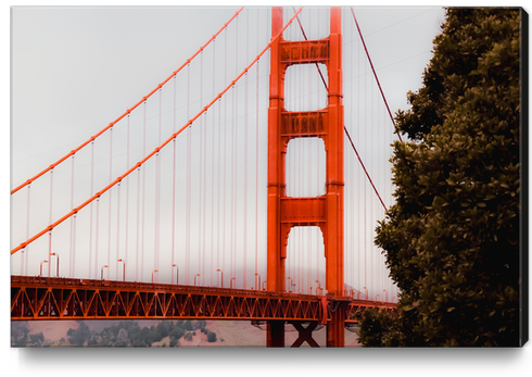 Closeup Golden Gate Bridge San francisco USA Canvas Print by Timmy333