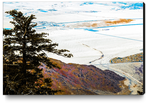 desert view from the mountain at Palm Springs California USA Canvas Print by Timmy333