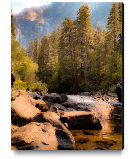 river and pine tree at Yosemite national park USA Canvas Print by Timmy333