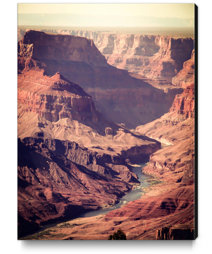 desert at Grand Canyon national park, USA Canvas Print by Timmy333