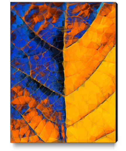 closeup leaf texture geometric triangle abstract pattern in blue orange yellow Canvas Print by Timmy333