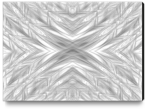 psychedelic drawing symmetry graffiti art abstract pattern in black and white Canvas Print by Timmy333