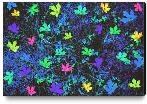 maple leaf in pink green purple blue yellow with blue creepers plants background Canvas Print by Timmy333