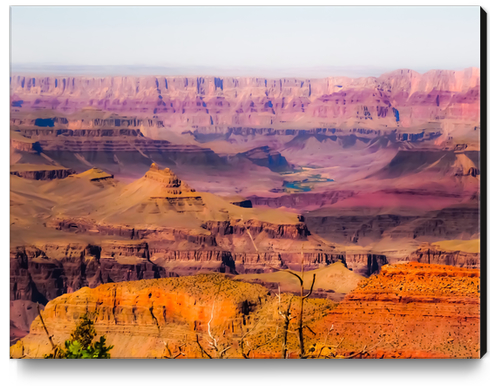 desert view at Grand Canyon national park, USA Canvas Print by Timmy333