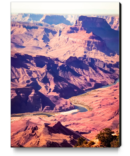 closeup desert at Grand Canyon national park, USA Canvas Print by Timmy333