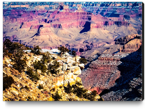 Desert view at Grand Canyon national park, USA Canvas Print by Timmy333